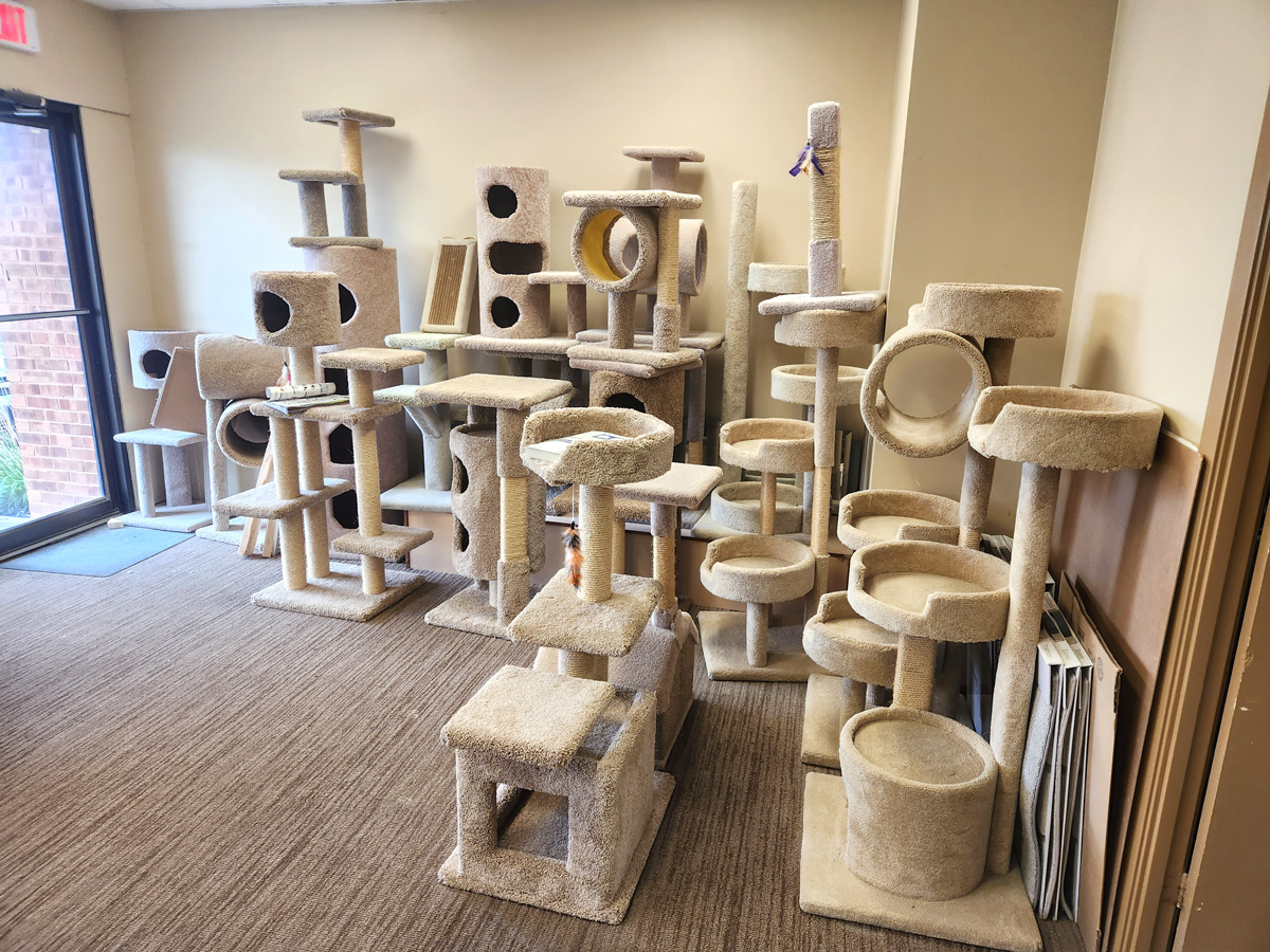 Cat-Houses_Scratching-Posts