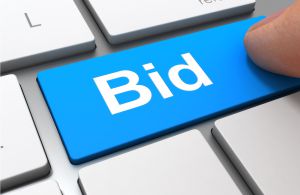 Disposition-Solutions-Online-Auction Online Auction